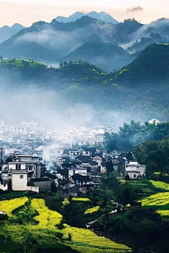 手提青锋撷花嗅采集到风景