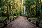 Gray Pathway Between Gray Wooden Fence and Green Trees at Daytime