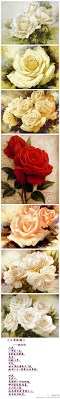 【瑰】来世， 我愿做七彩的玫瑰， 把花语献给有情人， 愿其成双成对，哪怕我隔夜就枯萎， 也无怨无悔