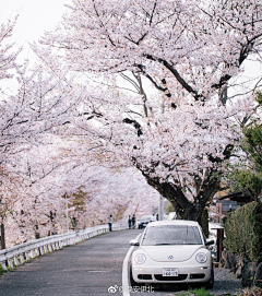 普大花采集到我是大美人—旅行