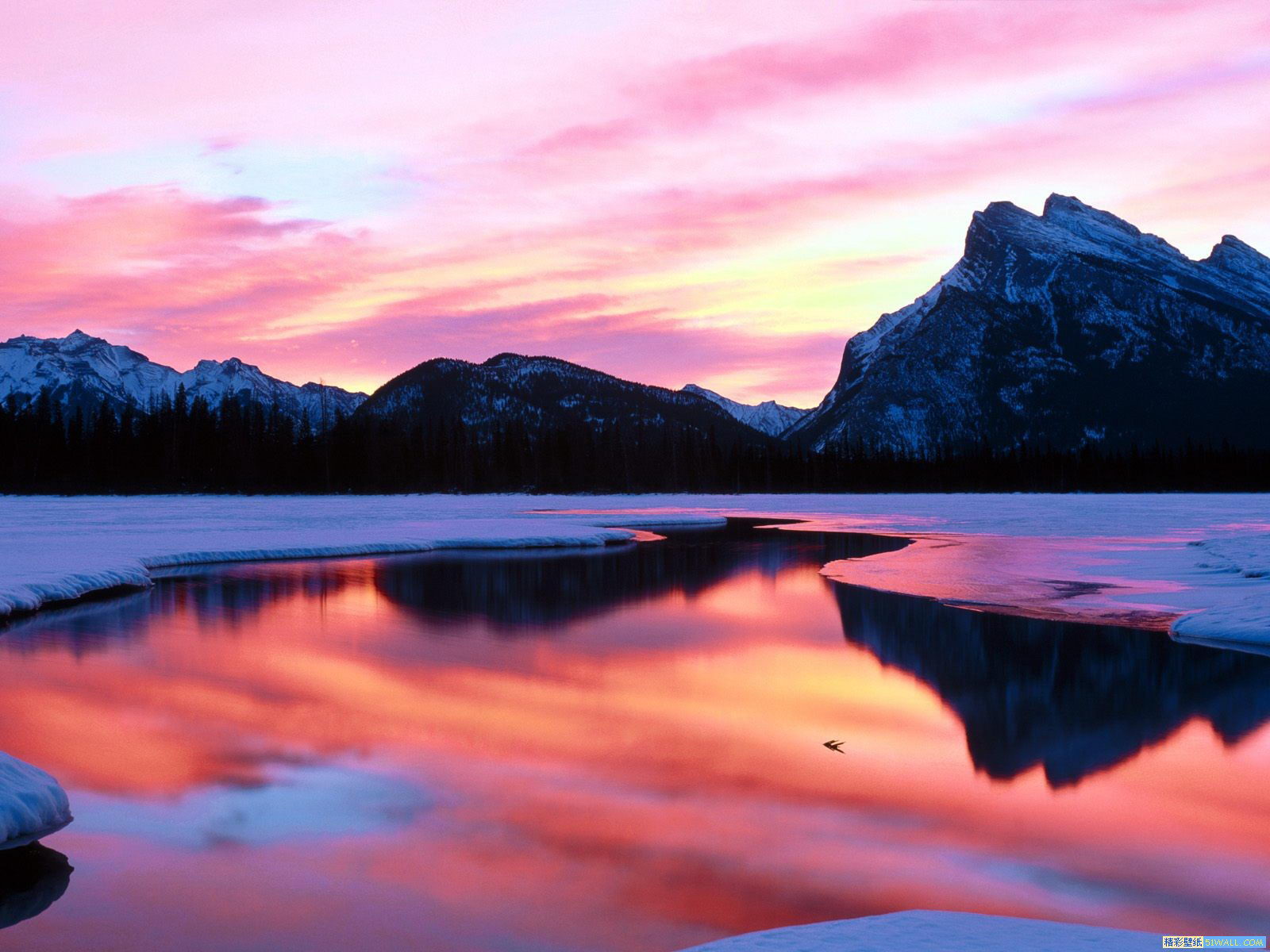 8bba61c8a401f3c3510245f079a010f7002dc891359ff-hsQM56