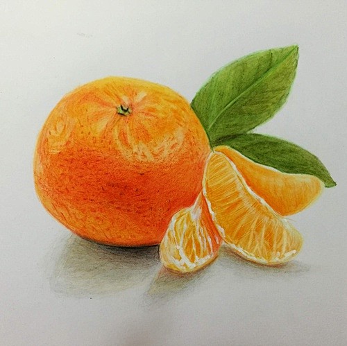 【彩铅教程28】手绘水果桔子橙子 BY ...