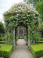 Seend Manor Rose Garden | Flickr - Photo Sharing!