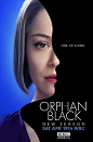 Orphan Black Season 2 Poster 黑色孤儿  海报