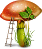 蘑菇 绿色植物 png