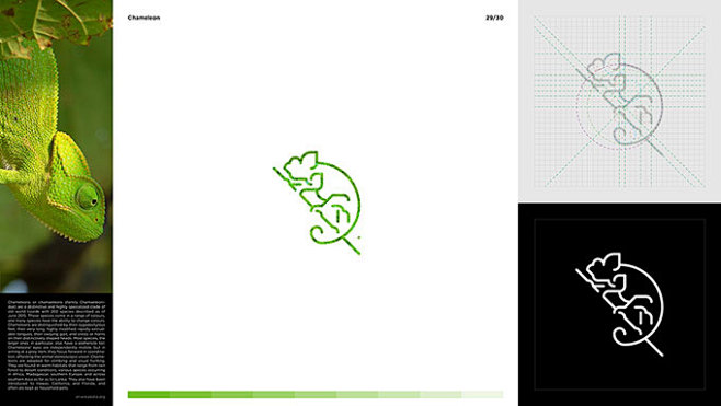 设计师利用30天时间打造30种动物创意L...