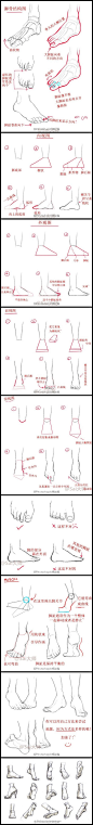#人体# #部位# 脚 本次教程给大家分享脚的设计绘制画法！教你多角度把控脚的画法
