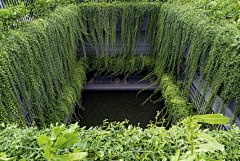 123-图图采集到A景观---垂直绿化墙