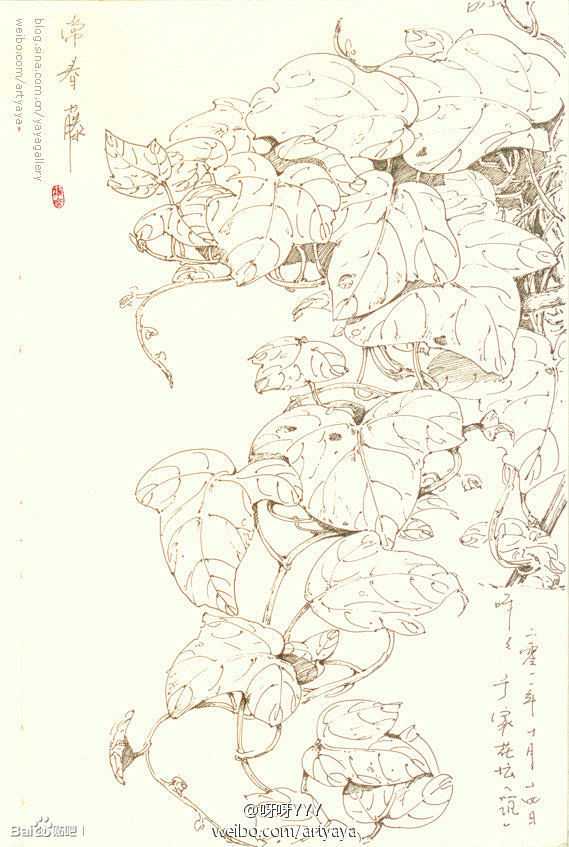 古风线稿_看图_插画交流吧_百度贴吧