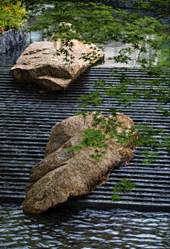 白一点bbi采集到细节/水景