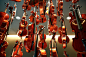 Photograph Violins by Frank Wijn on 500px