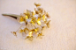 来自荣Sakae，日本成田市的一位艺术家，擅长手工制作各种各样精致美丽的发簪。荣Sakae制作了一系列包括莲花、牡丹、紫阳花、月下美人、白梅、樱花等在内的花朵发簪。所有这些拥有着逼真形态、极富质感花朵其实全都采用塑料制作，仅在花朵边缘裹上细细的黄铜线作为衬托。根据不同的复杂性，一支花朵发簪制作时间约费时3-30天。