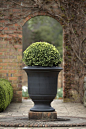 A Geo Rok French Style urn at Cloudehill.: 