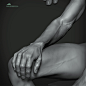 Male Anatomy and Gesture Study Sculpt in Zbrush