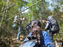 Yunlit采集到徒步旅行武功山:多图, 