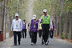 微山湖红荷湿地旅游