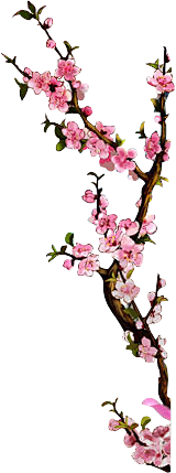 墨雨微澜采集到13