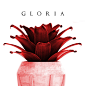 GLORIA BOTANIC on Behance