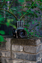 无法拒绝的价格 —— 入手Sonnar T* FE 55mm F1.8 ZA - 影像器材 - Chiphell - 分享与交流用户体验的最佳平台