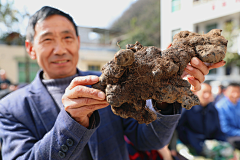 齐尚景观-庭院/文旅采集到大地物产/水果/蔬菜/五谷杂粮//瓜果蔬菜/田园摄影/唯美田园