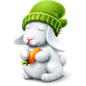 可爱小白兔图标 iconpng.com
