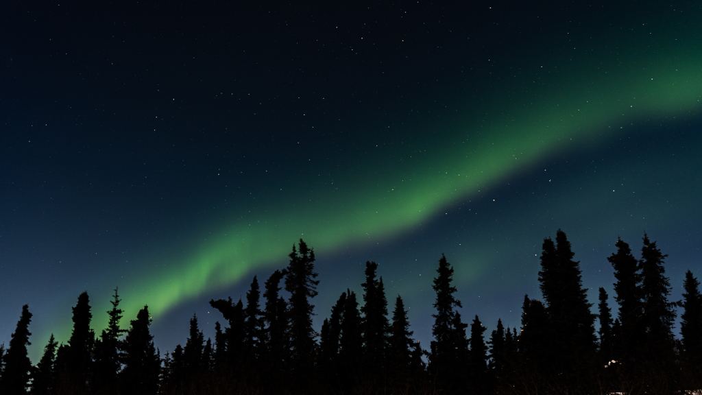 8cf6472e32f476a8137dcce939a13befe43ce2659ed7-LTIWN5