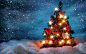 130124-Christmas, fir, trees, Christmas_Tree