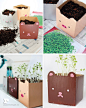 milk carton planters