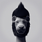 Afro Lion : These are Fur Material tests in modo601