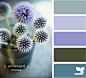 Design Seeds®: For All Who Love Color