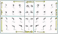 小李来曰采集到tips