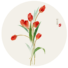 小鱼儿悠然采集到手绘画1（花卉）