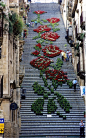 La Scala Flower Festival   斯卡拉花节