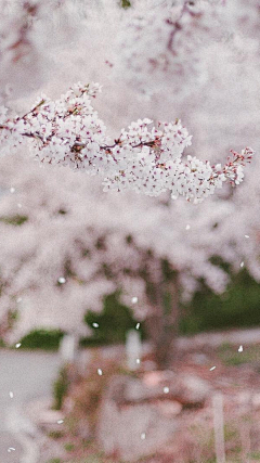 下一站笑着采集到背景