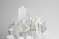 Le Parfum – Claus Porto : A popup book to display the new Claus Porto perfume. 