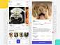 Dog adoption app ui