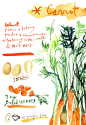 Carrot cake illustrated recipe poster Kitchen by lucileskitchen