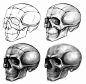 头骨的【结构解析】，收藏起来 ​ ​​​​