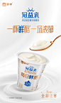 【支付宝】蒙牛酸奶冠益乳每日鲜酪低温酸奶3.0g蛋白营养酸奶15杯-tmall.com天猫