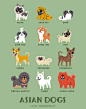 DOGS OF THE WORLD世界的狗系列插画设计//L 文艺圈 展示 设计时代网-Powered by thinkdo3