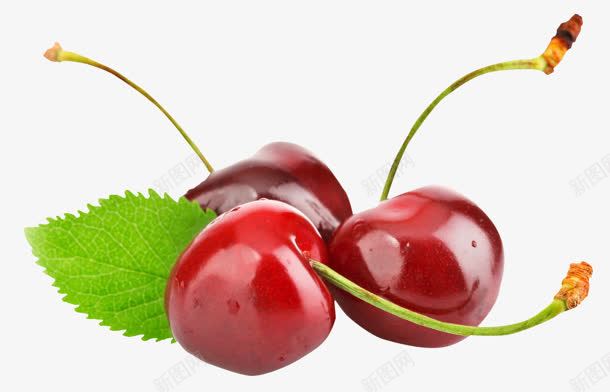 8d847d35a7370c9be90ec55c05c5f15a9590fbad50d9-QyxjGI