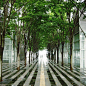けやきひろば Keyaki Hiroba / Saitama New Urban Center, Saitama-city Completed in 2000 Landscape Architect: Peter Walker . by urbanscape