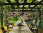 Long wooden table with wooden chairs underneath a vine covered canopy in the Vervoordt gardens, perfect for alfresco dining, Veranda Magazin...