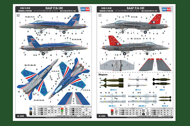 澳大利亚空军F/A-18C