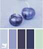 currant blue