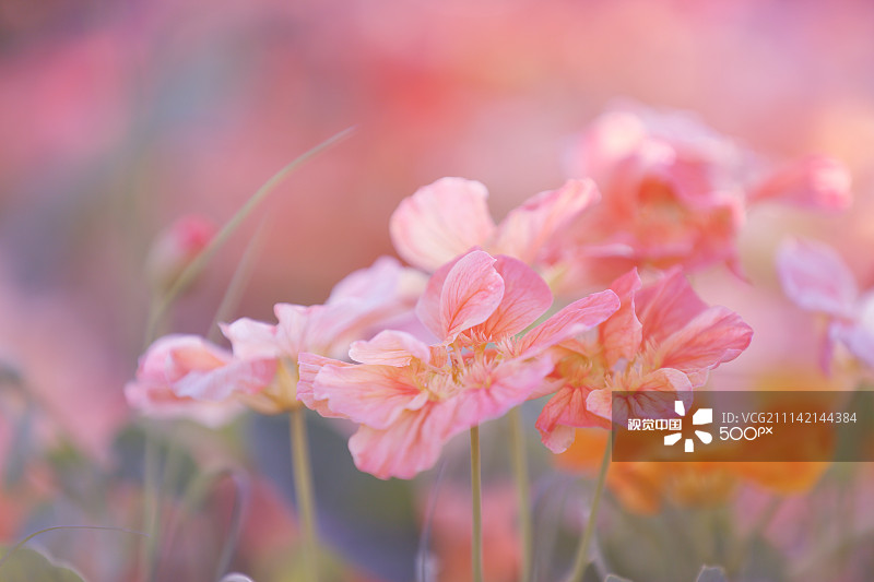 8dd2d26603e5ddcd0584828a374e3dfaa66a6d9d134d4-POKyXv