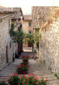 gubbio.w.flowers