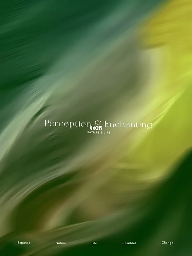 一树一花之下 / Perception ...