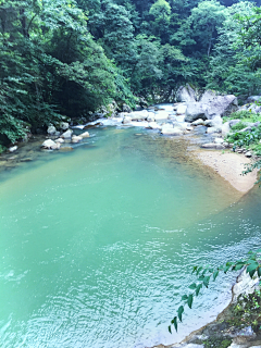 百味糖采集到景语