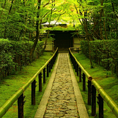 咖豆采集到庭院